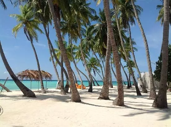 هتل کانی پالم بیچ مالدیو